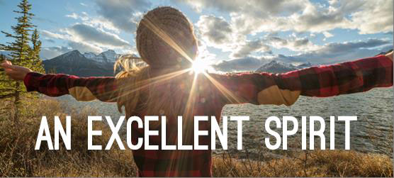 An Excellent Spirit