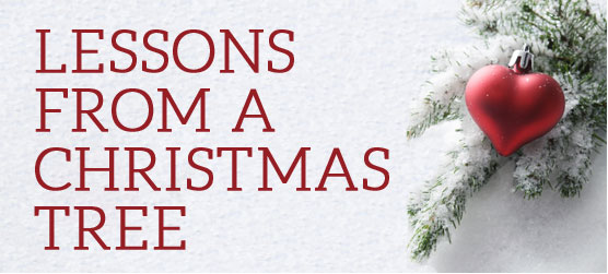 Lessons from a Christmas Tree